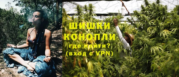 стаф Ладушкин