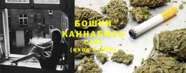 мдпв Лабытнанги