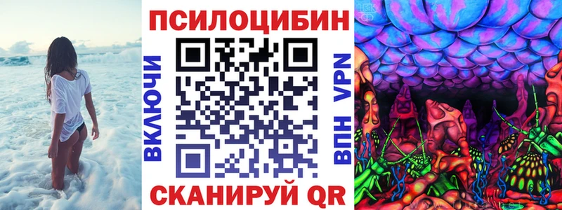 Купить закладки  Мензелинск  Галлюциногенные грибы мицелий 